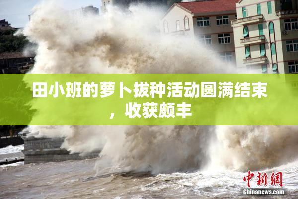 田小班的萝卜拔种活动圆满结束，收获颇丰