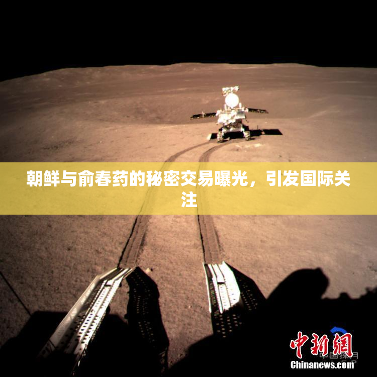 朝鲜与俞春药的秘密交易曝光，引发国际关注