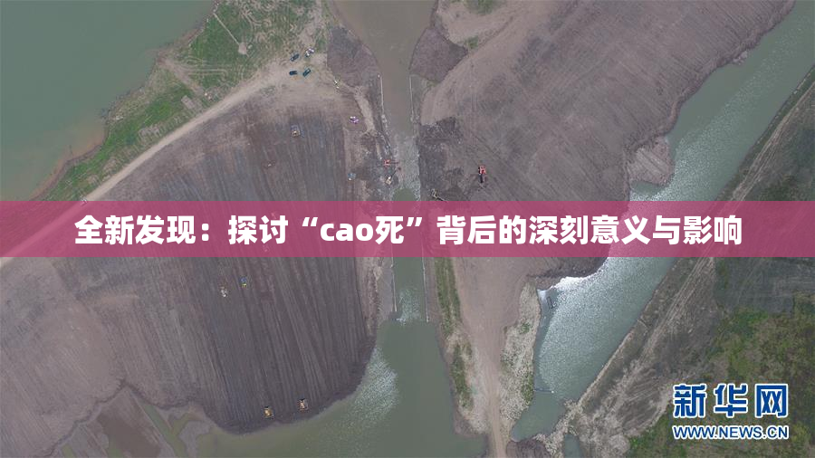 全新发现：探讨“cao死”背后的深刻意义与影响
