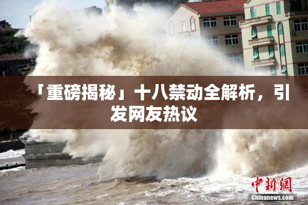 「重磅揭秘」十八禁动全解析，引发网友热议