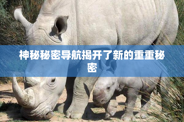 神秘秘密导航揭开了新的重重秘密