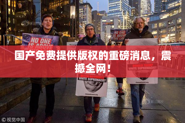 国产免费提供版权的重磅消息，震撼全网！