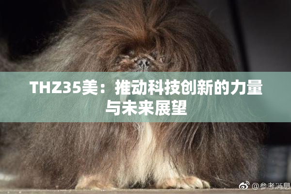 THZ35美：推动科技创新的力量与未来展望