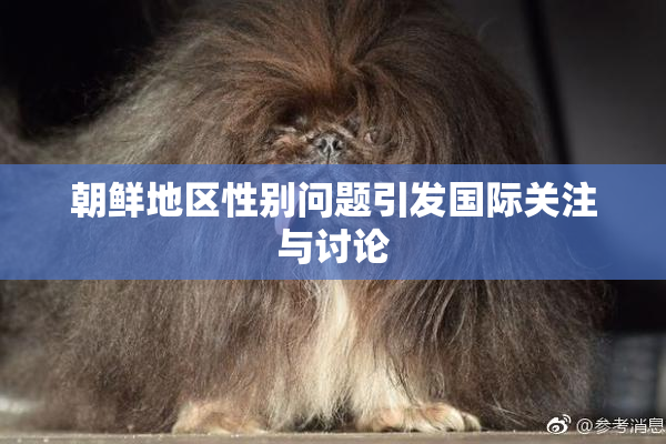 朝鲜地区性别问题引发国际关注与讨论