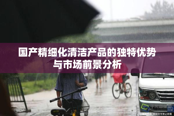 国产精细化清洁产品的独特优势与市场前景分析