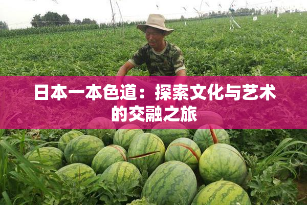 日本一本色道：探索文化与艺术的交融之旅