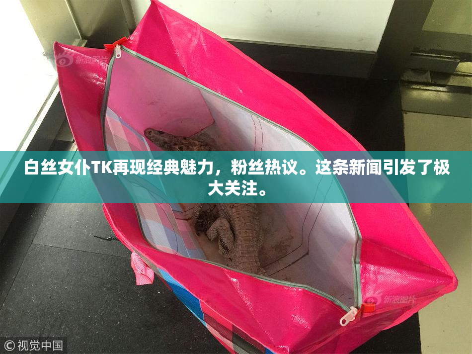 白丝女仆TK再现经典魅力，粉丝热议。这条新闻引发了极大关注。