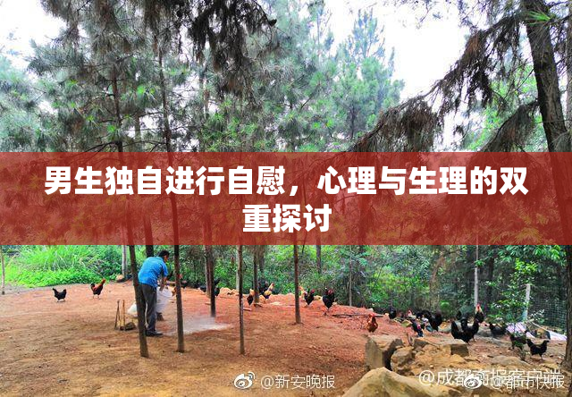 男生独自进行自慰，心理与生理的双重探讨