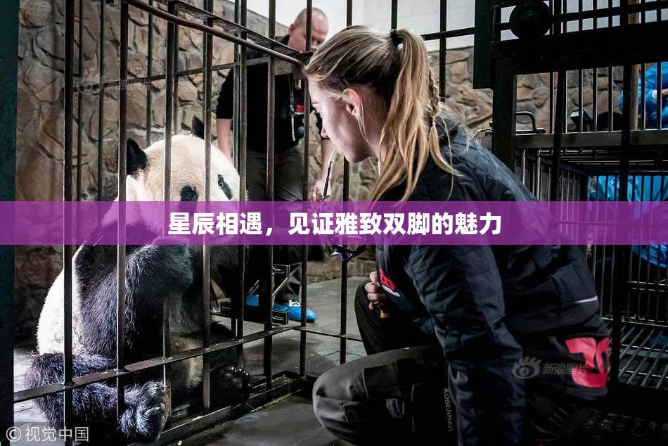 星辰相遇，见证雅致双脚的魅力
