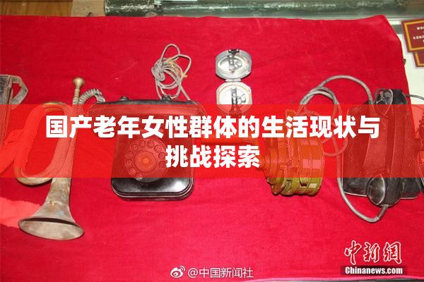 国产老年女性群体的生活现状与挑战探索
