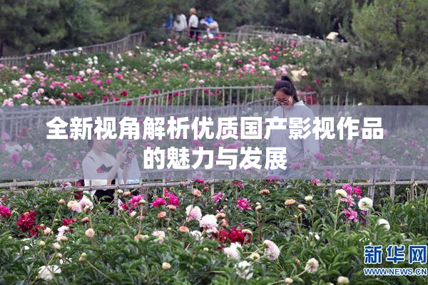 全新视角解析优质国产影视作品的魅力与发展