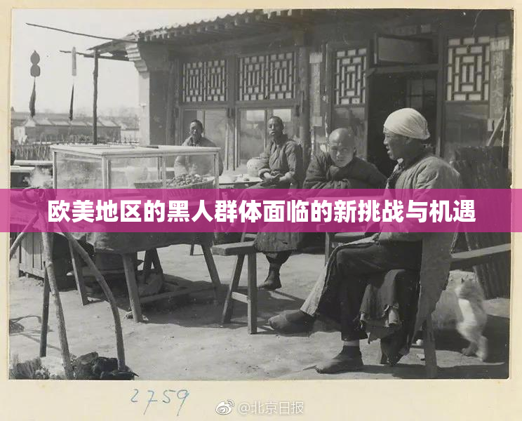 欧美地区的黑人群体面临的新挑战与机遇