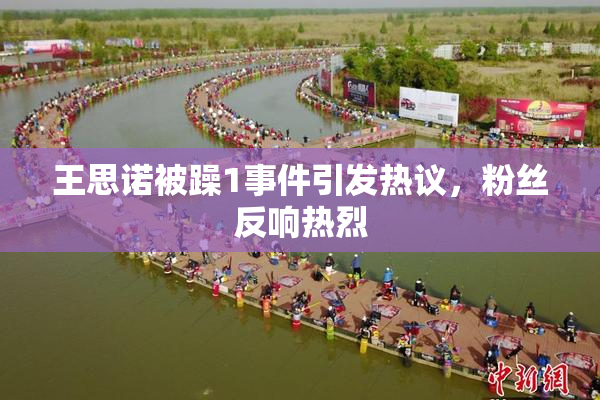 王思诺被躁1事件引发热议，粉丝反响热烈