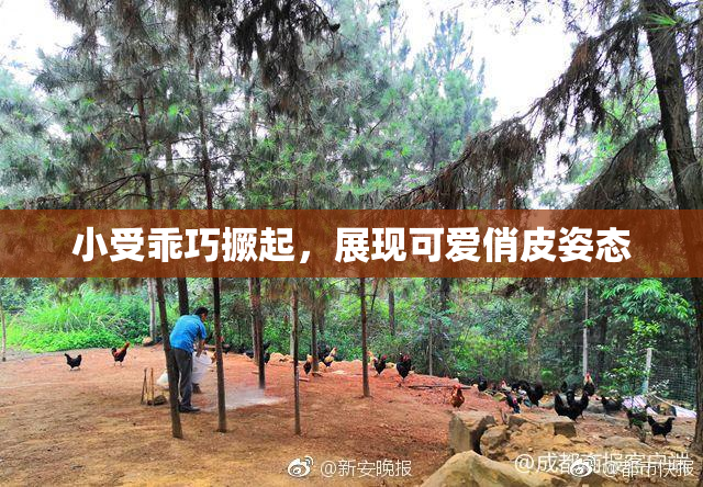 小受乖巧撅起，展现可爱俏皮姿态