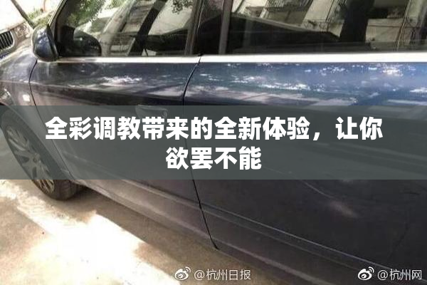 全彩调教带来的全新体验，让你欲罢不能