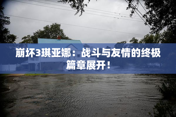 崩坏3琪亚娜：战斗与友情的终极篇章展开！