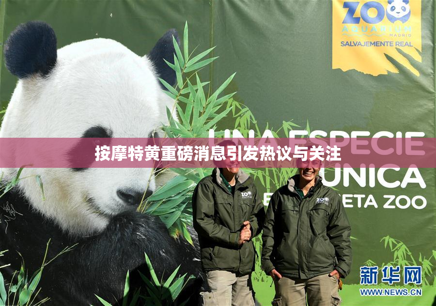 按摩特黄重磅消息引发热议与关注