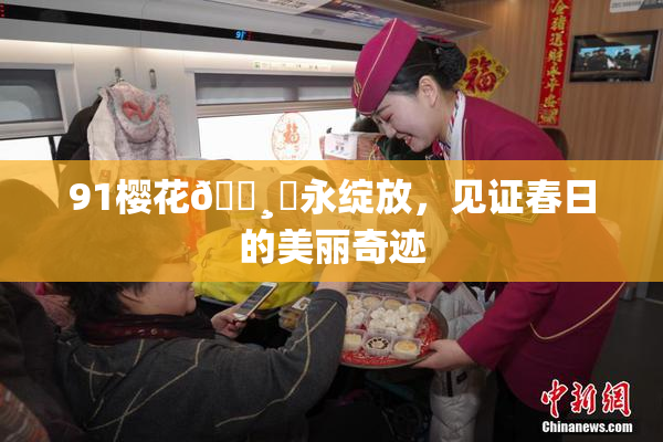 91樱花🌸‌永绽放，见证春日的美丽奇迹