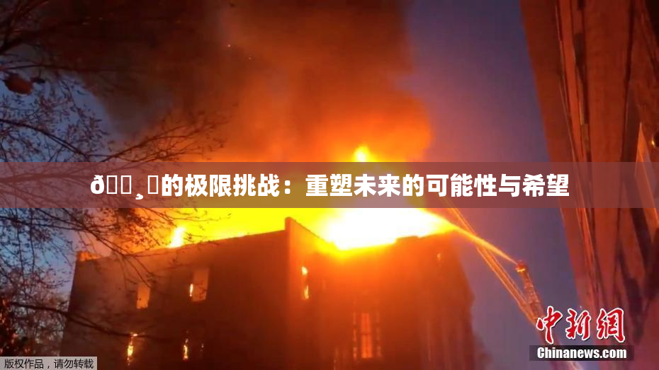 🌸‌的极限挑战：重塑未来的可能性与希望