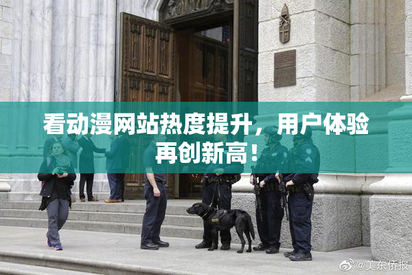看动漫网站热度提升，用户体验再创新高！