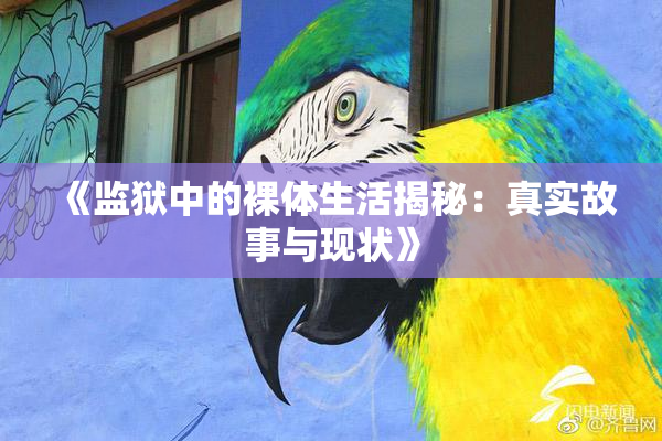 《监狱中的裸体生活揭秘：真实故事与现状》