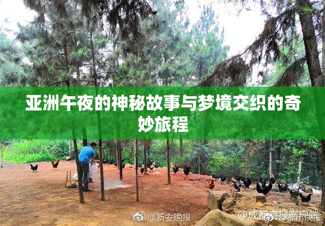 亚洲午夜的神秘故事与梦境交织的奇妙旅程