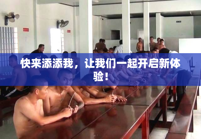 快来添添我，让我们一起开启新体验！
