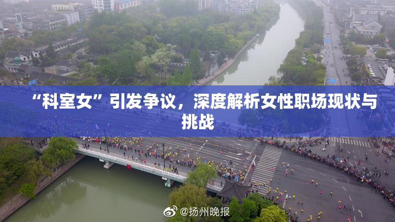 “科室女”引发争议，深度解析女性职场现状与挑战