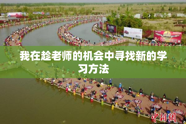 我在趁老师的机会中寻找新的学习方法
