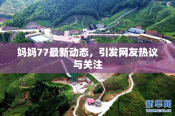 妈妈77最新动态，引发网友热议与关注