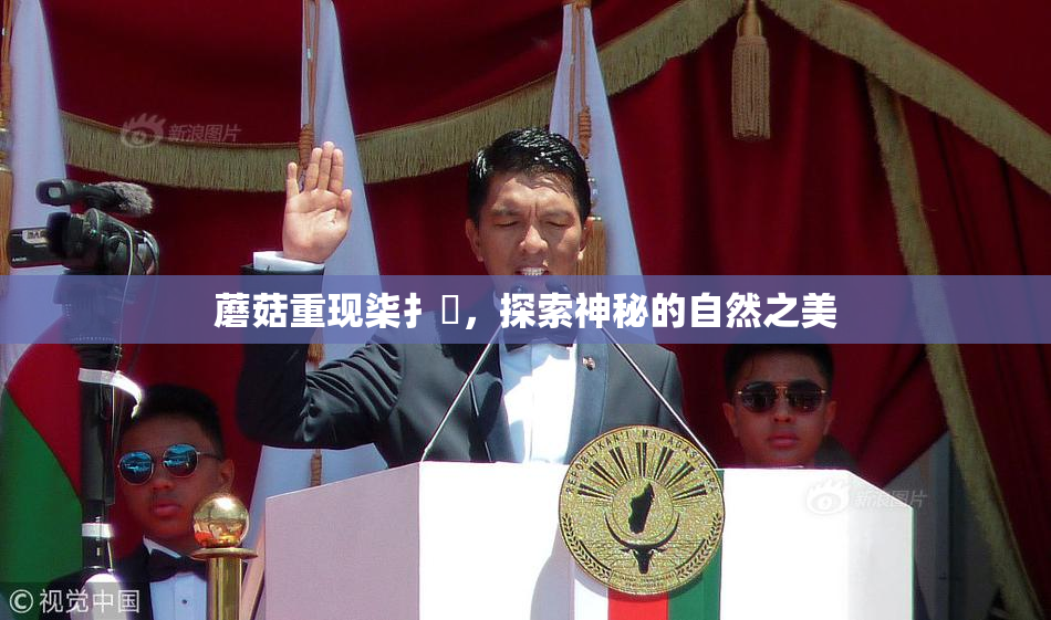 蘑菇重现柒扌畐，探索神秘的自然之美