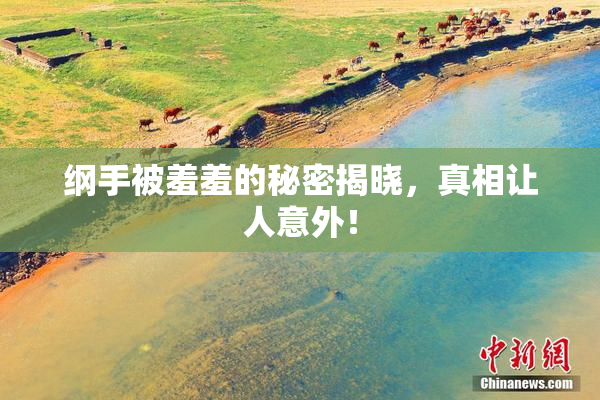 纲手被羞羞的秘密揭晓，真相让人意外！