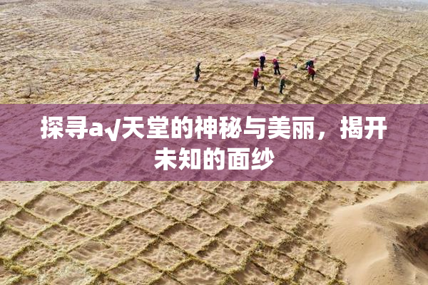 探寻а√天堂的神秘与美丽，揭开未知的面纱