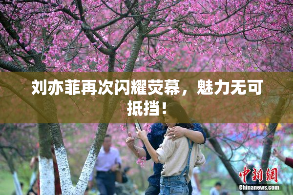 刘亦菲再次闪耀荧幕，魅力无可抵挡！