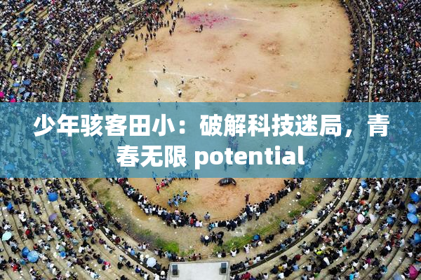 少年骇客田小：破解科技迷局，青春无限 potential