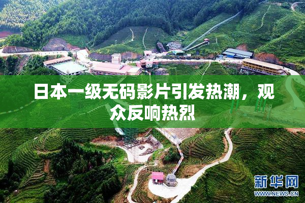 日本一级无码影片引发热潮，观众反响热烈