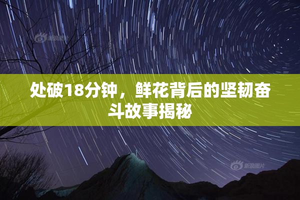 处破18分钟，鲜花背后的坚韧奋斗故事揭秘
