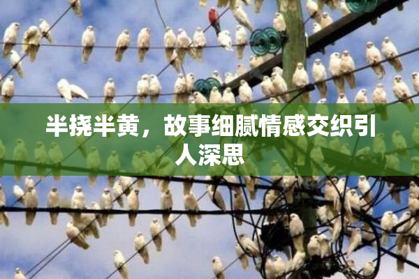 半挠半黄，故事细腻情感交织引人深思