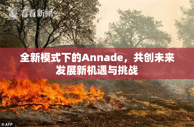 全新模式下的Annade，共创未来发展新机遇与挑战