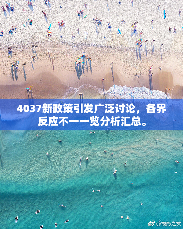 4037新政策引发广泛讨论，各界反应不一一览分析汇总。