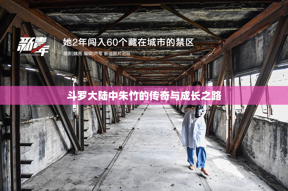 斗罗大陆中朱竹的传奇与成长之路