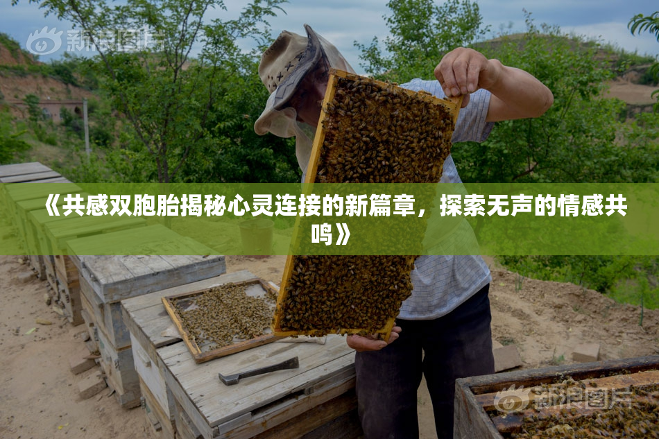 《共感双胞胎揭秘心灵连接的新篇章，探索无声的情感共鸣》