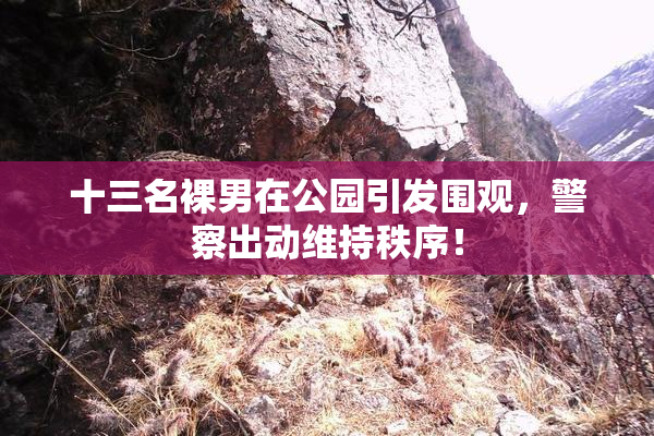 十三名裸男在公园引发围观，警察出动维持秩序！