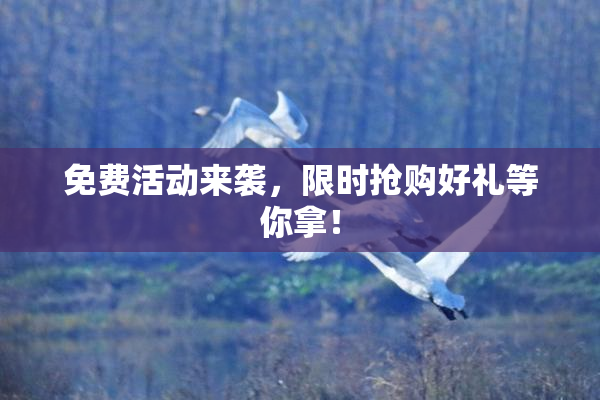 免费活动来袭，限时抢购好礼等你拿！