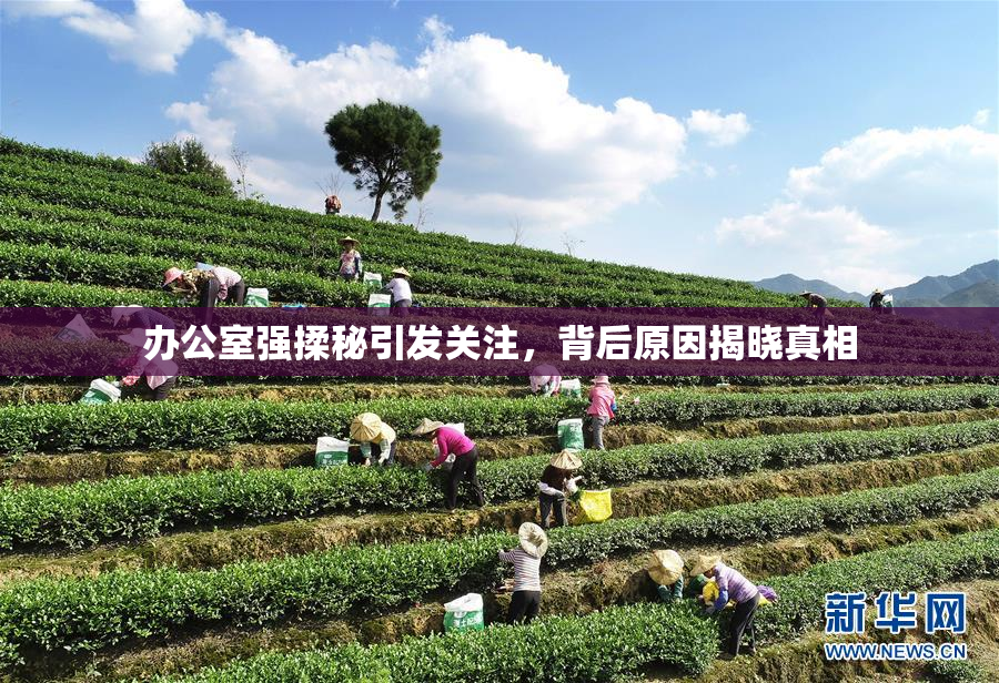 办公室强揉秘引发关注，背后原因揭晓真相