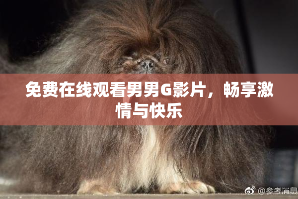 免费在线观看男男G影片，畅享激情与快乐