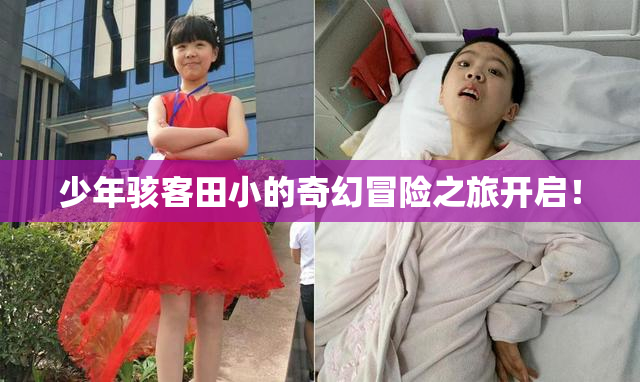 少年骇客田小的奇幻冒险之旅开启！