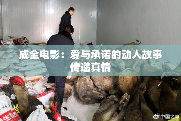 成全电影：爱与承诺的动人故事传递真情