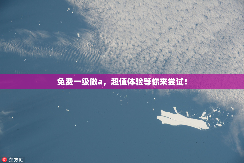 免费一级做a，超值体验等你来尝试！