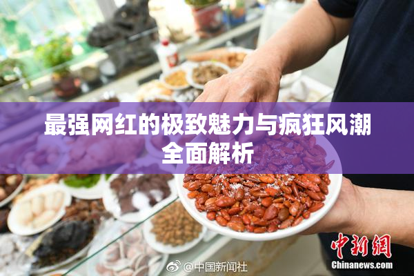 最强网红的极致魅力与疯狂风潮全面解析